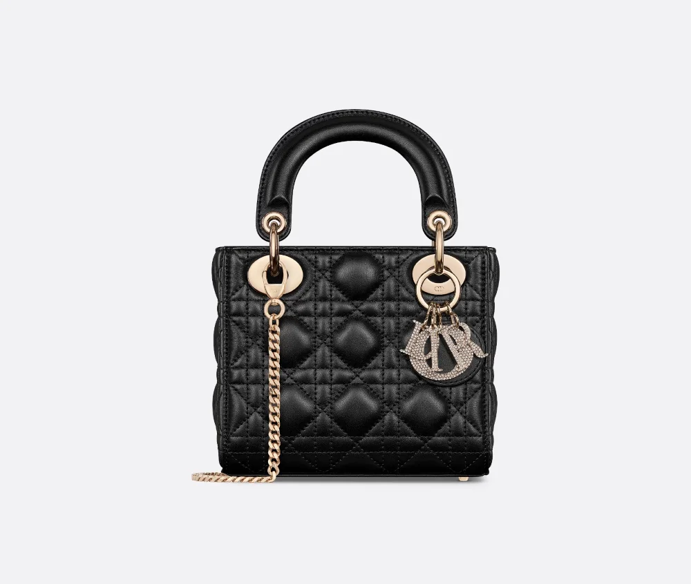 The Lady Dior