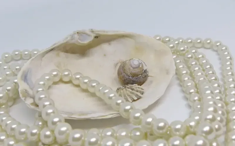 White pearls and shells